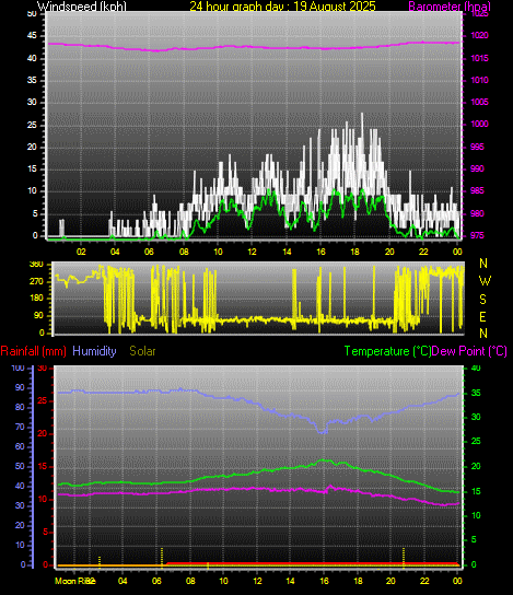 24 Hour Graph for Day 19