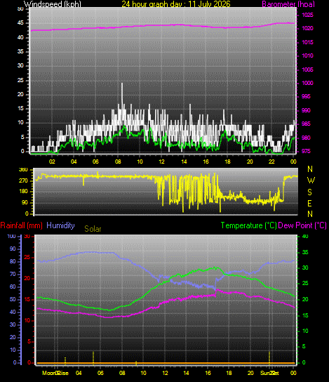 24 Hour Graph for Day 11